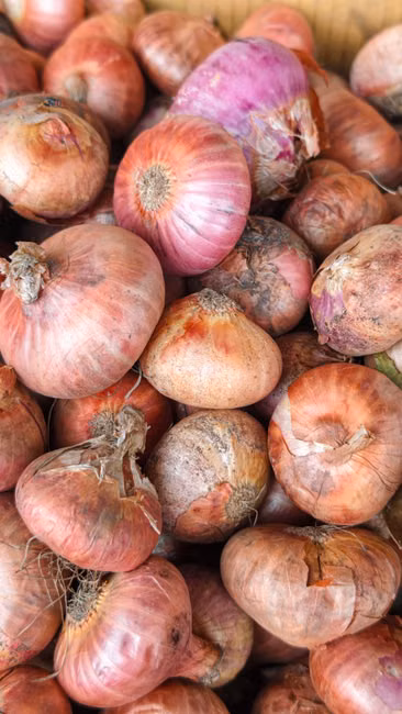 Molho de Tomate (340g)