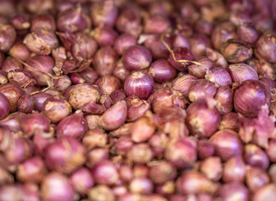 Cortes de Carne Frescos (kg)